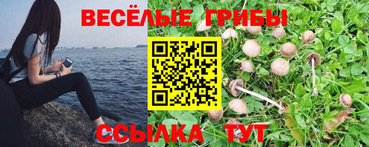 Галлюциногенные грибы Magic Shrooms Лыткарино