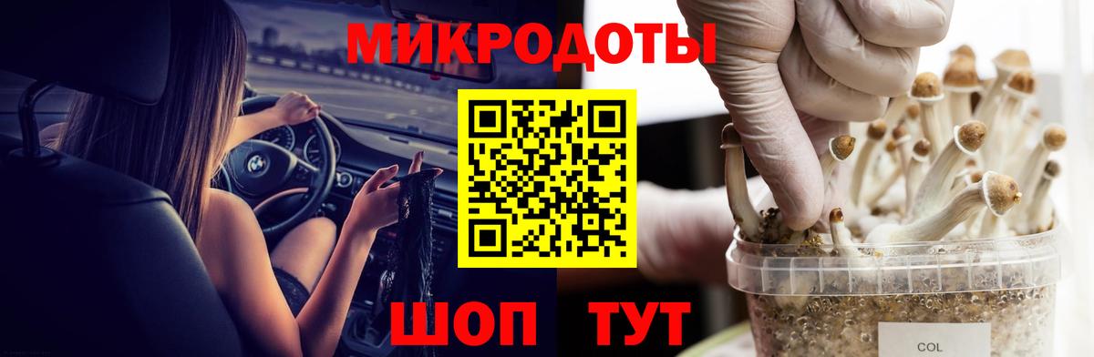 Галлюциногенные грибы Psilocybine cubensis  Вход с VPN  Лыткарино 